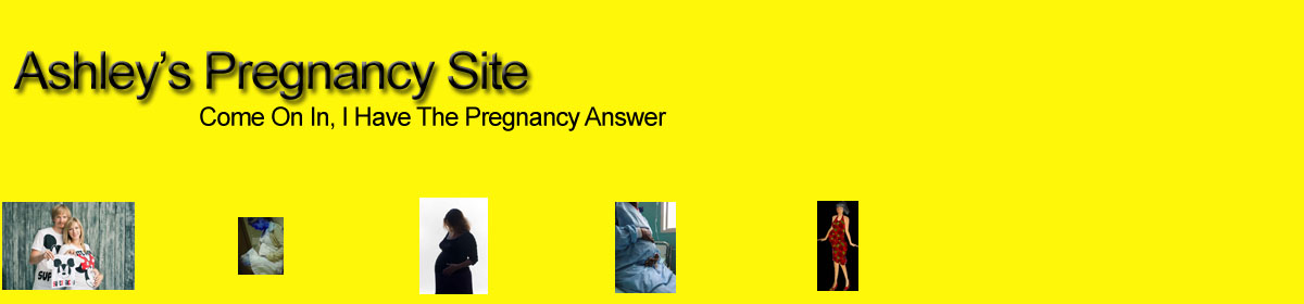 Ashley's Pregnancy Site