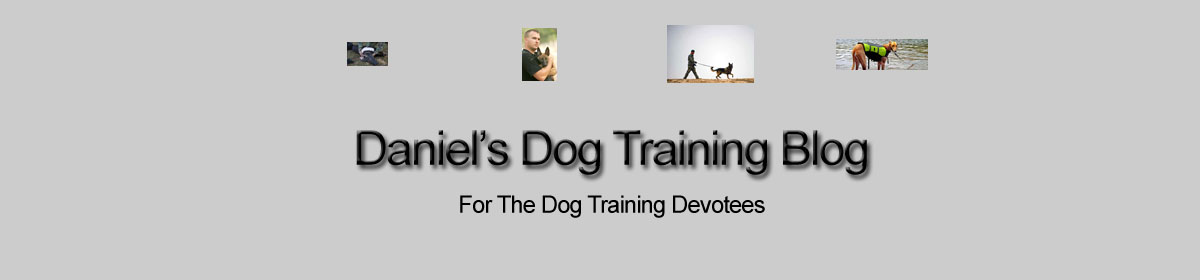 Daniel's Dog Training Blog