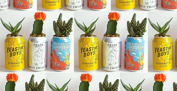 Tin cans with pretty graphics make great cactus planters