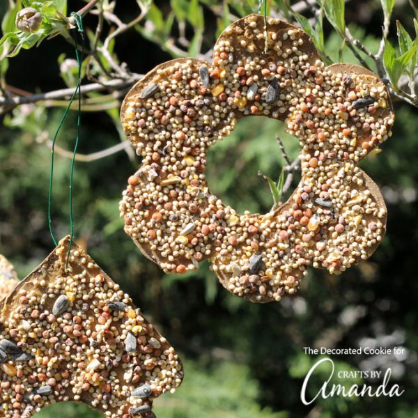 Birdseed Ornaments