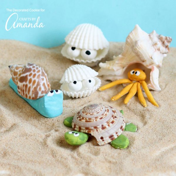 Sea Shell Creatures