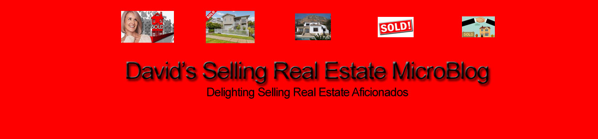 David's Selling Real Estate MicroBlog