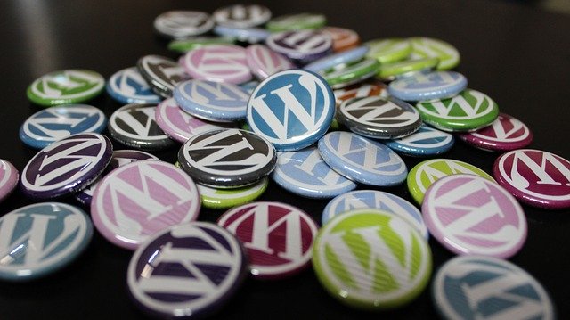 Everything You Ever Need To Know About WordPress