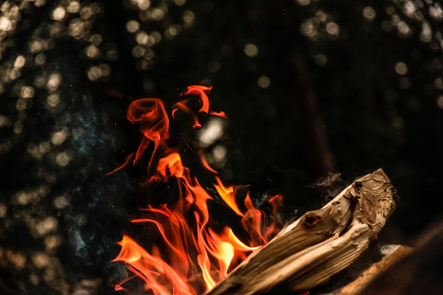 Campfire Chronicles: Navigating the Firewood Dilemma on Your Outdoor Adventures