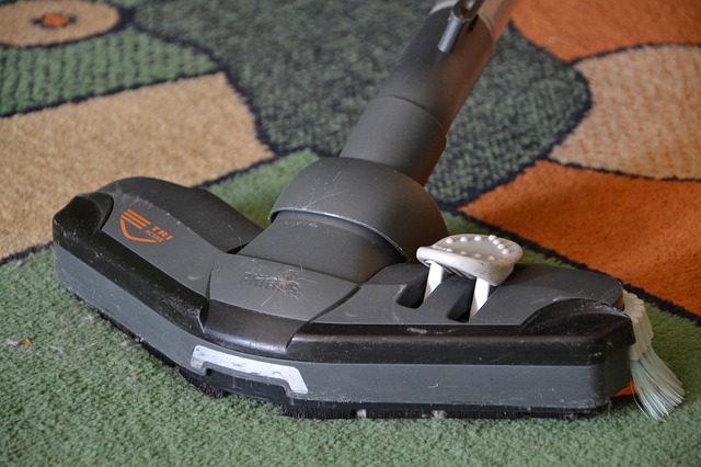 What To Look For In A Great Carpet Cleaning Company