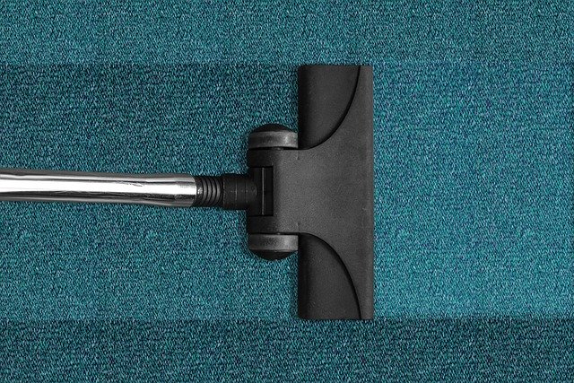 What To Look For In A Carpet Cleaning Business