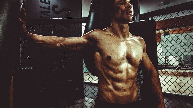 Simple Tips To Educate You About Bodybuilding  In The Following Article